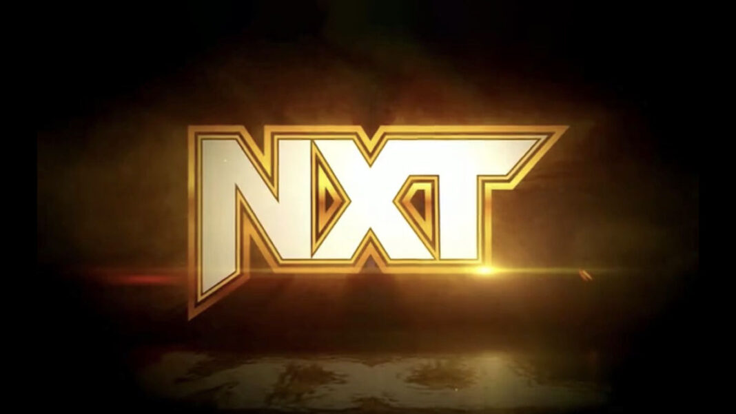 NXT Black Gold Logo